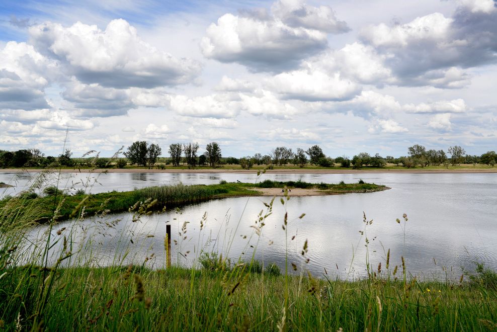 Elbe Damnatz