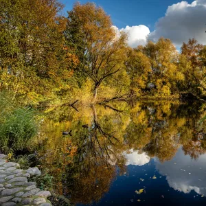 Der Ziegelteich mit Bäumen im Hintergrund