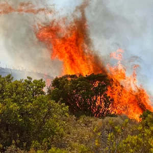 Die Feuer auf der beliebten Urlaubsinsel Rhodos sind weiterhin nicht unter Kontrolle.