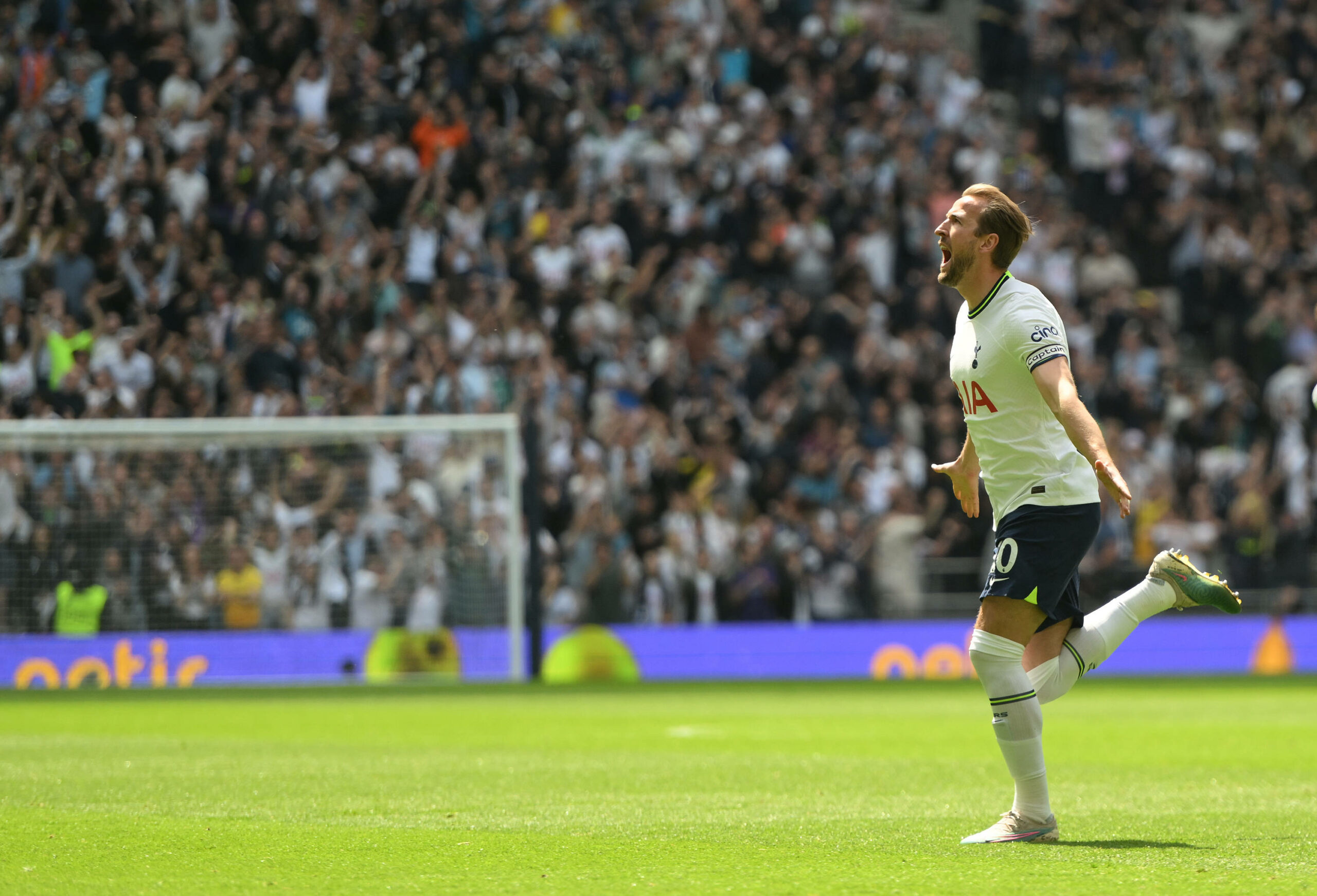 Harry Kane bejubelt Treffer für Tottenham Hotspur