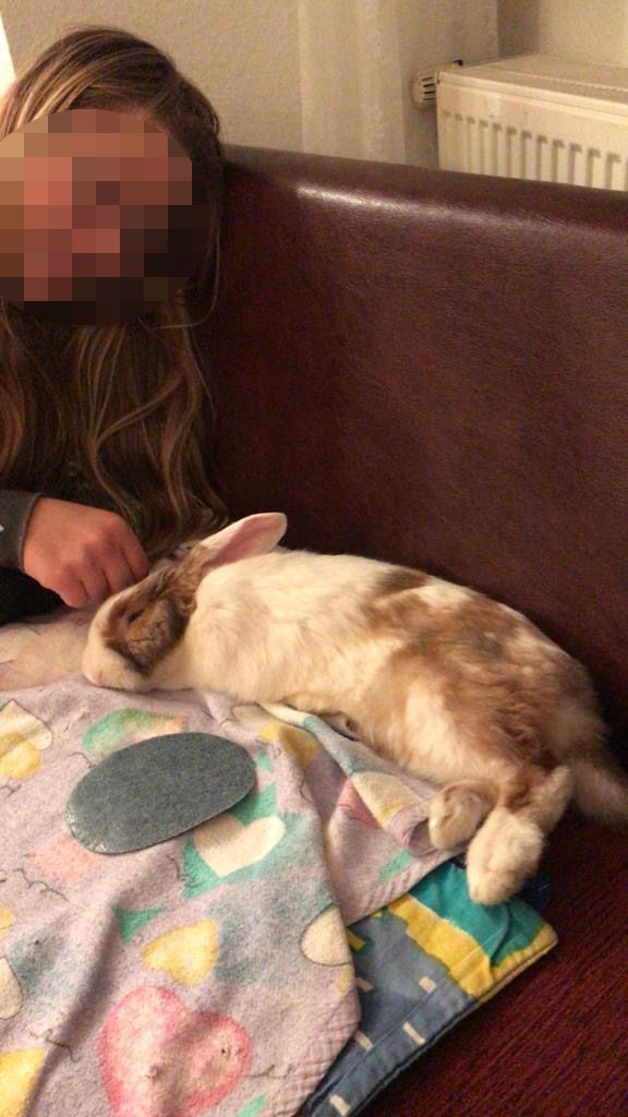 Leonie und ihr Kaninchen Flocki waren unzertrennlich.