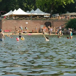 Im Stadtparksee kämpfen Gäste derzeit immer wieder mit Schlingpflanzen unter Wasser.