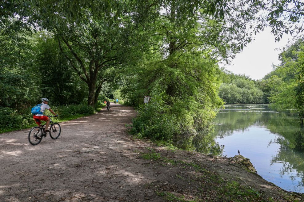 Eichtalpark - Wandse-Wanderweg