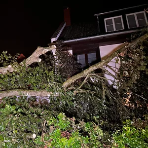 Ein Baum leigt nach einem Unwetter umgestürzt neben ienem Haus.