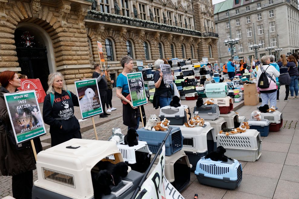 Mit Plüschtieren und Transportboxen demonstrierten rund 160 Tierschützer am Freitag vor dem Hamburger Rathaus.
