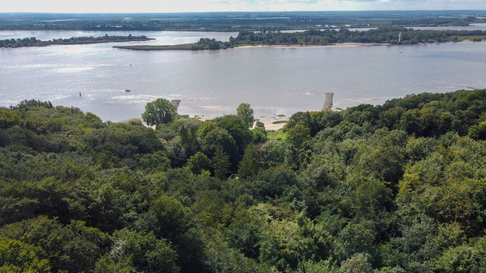 Darum geht es vielen Bewohnern der Elbvororte: Ein freier Elbblick hier am Waldpark Falkenstein aufgenommen.