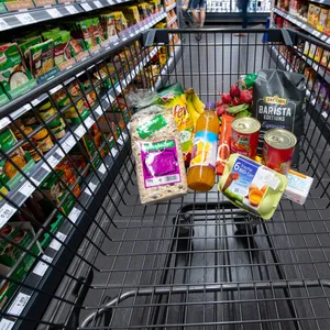 Verschiedene Lebensmittel liegen in einem Supermarkt in einem Einkaufswagen. (Symbolbild)