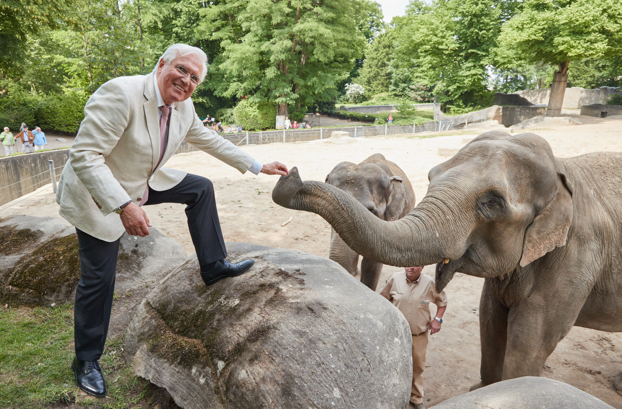Dirk Albrecht, Hagenbeck-Geschäftsführer mit Elefanten