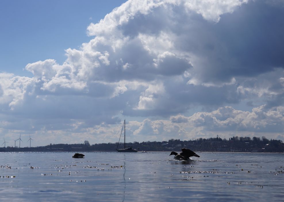 Ostsee