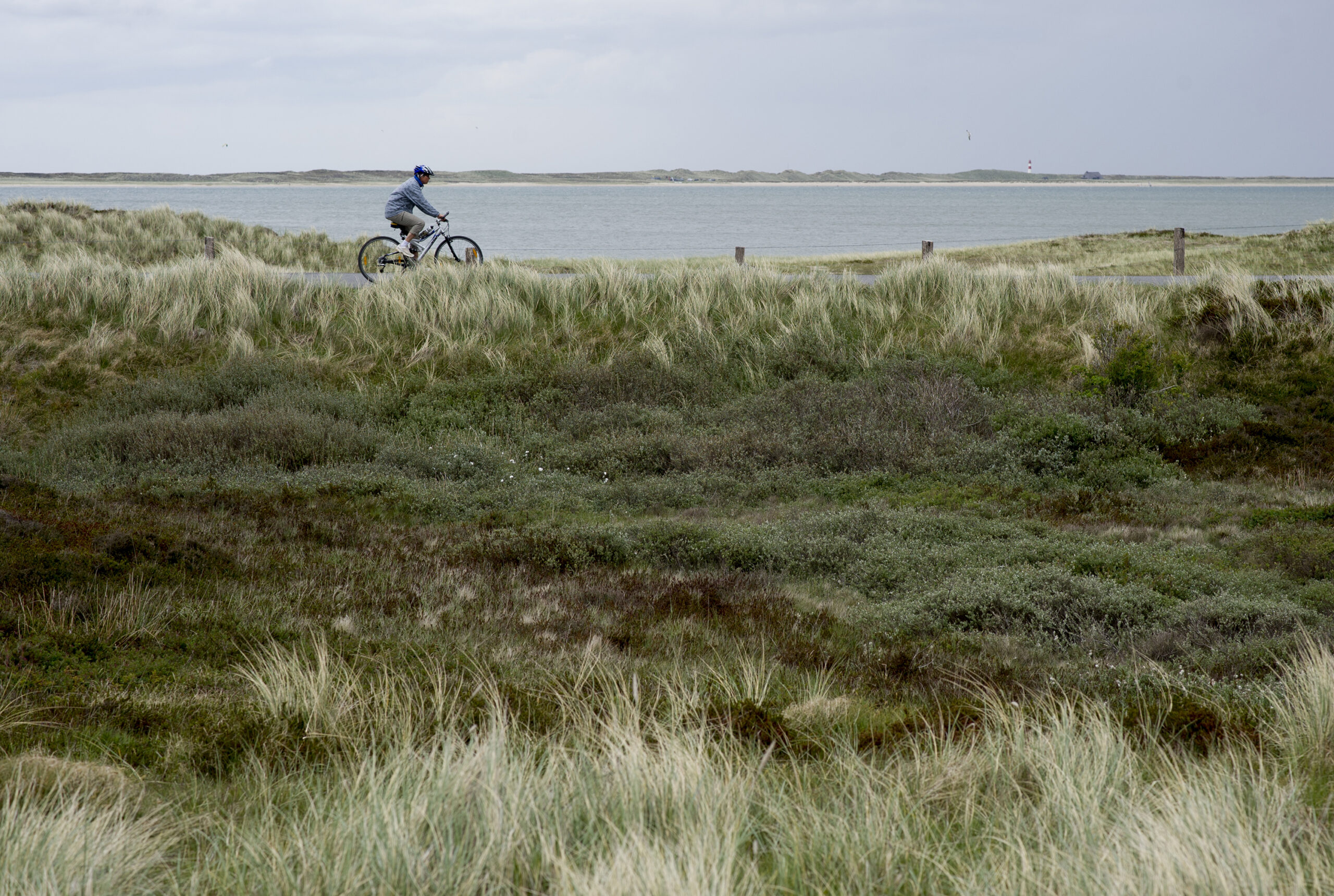 Ein Radfahrer auf Sylt (Symbolbild).