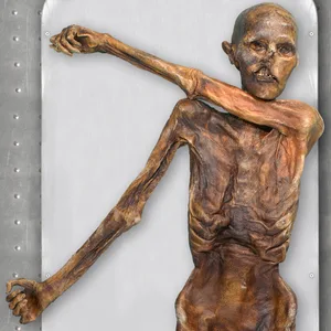 Das Genom des Steinzeitmenschen „Ötzi“ wurde nun entschlüsselt.