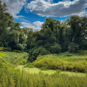 Altenwerder Kirchtal und Bullerrinne