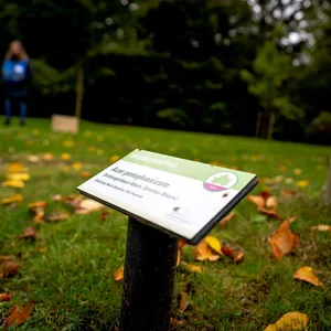 Baumlehrpfad