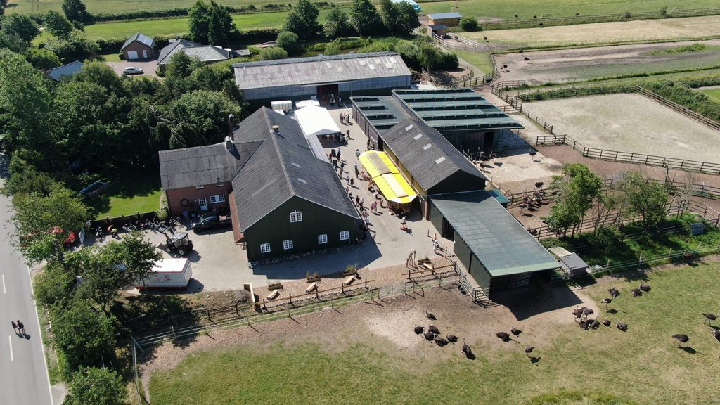 Paar aus Weddingstedt züchtet Straße statt Kühe