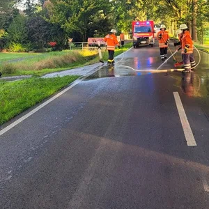 Pferde entweichen von Koppel im Norden und laufen vor Auto