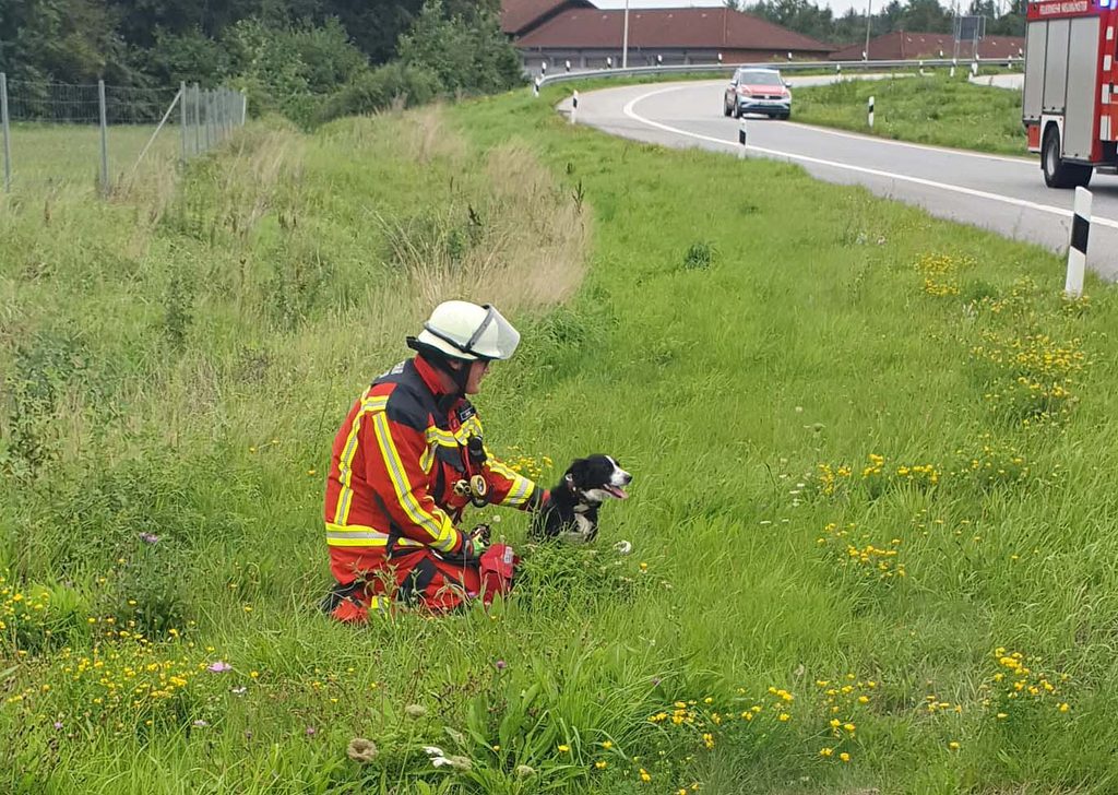 Feuerwehrmann mit Hund