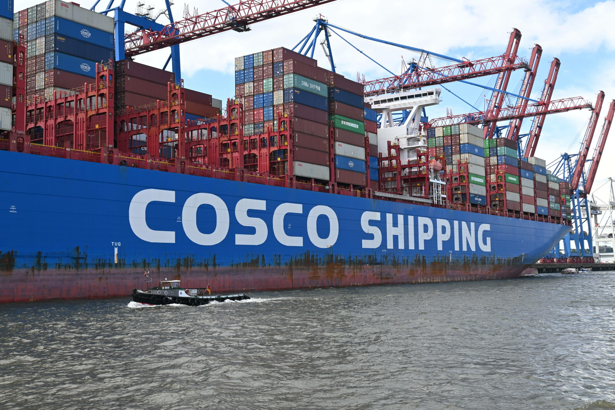 Man sieht ein blaues Containerschiff von „Cosco Shipping“ im Hamburger Hafen mit vielen Containern.