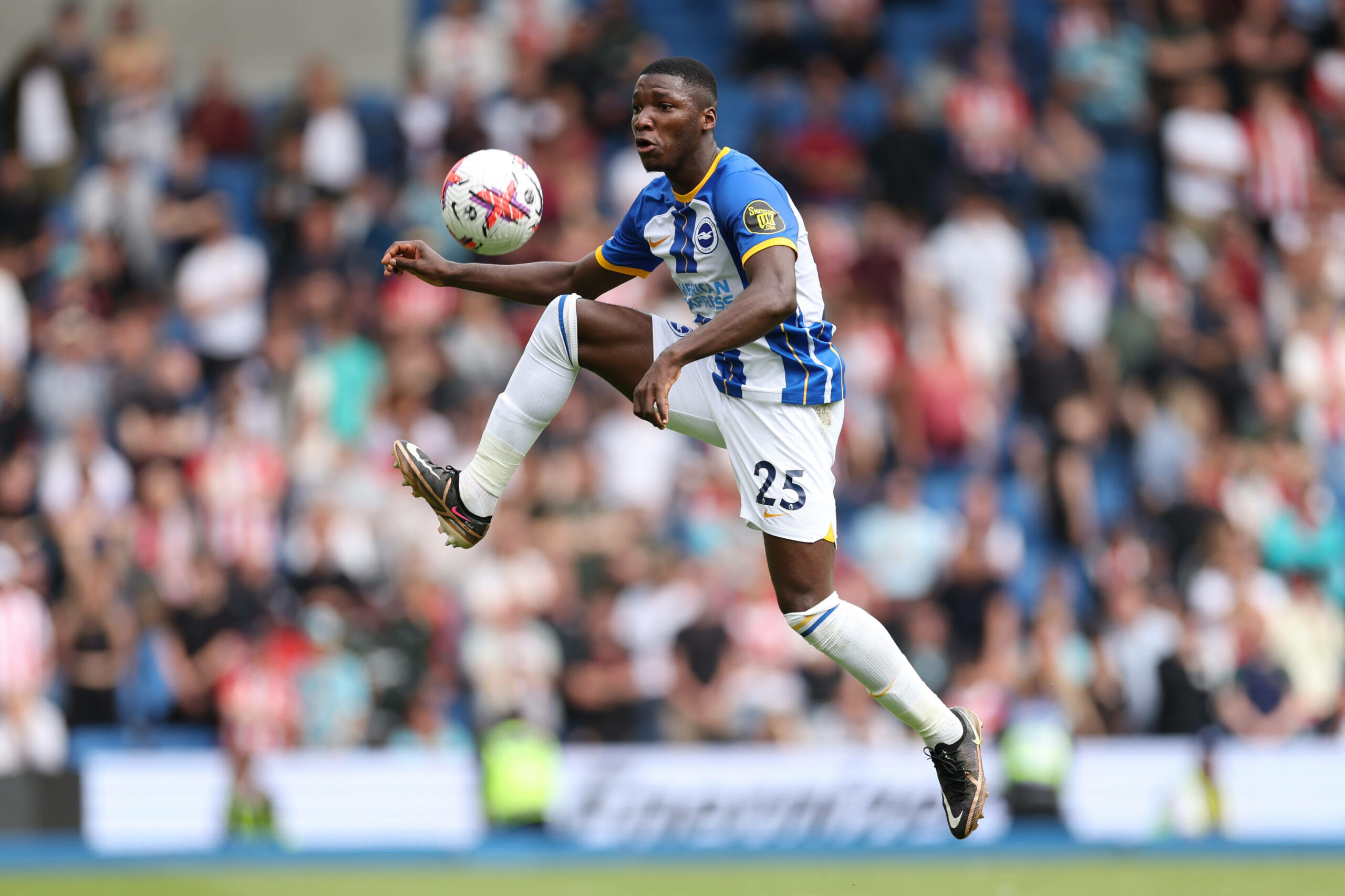 Moises Caicedo Spieler von Brighton and Hove Albion