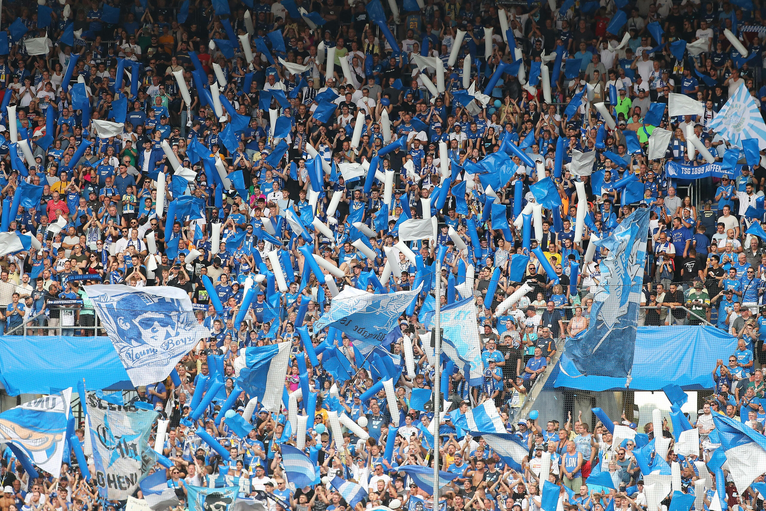 Fans der TSG Hoffenheim