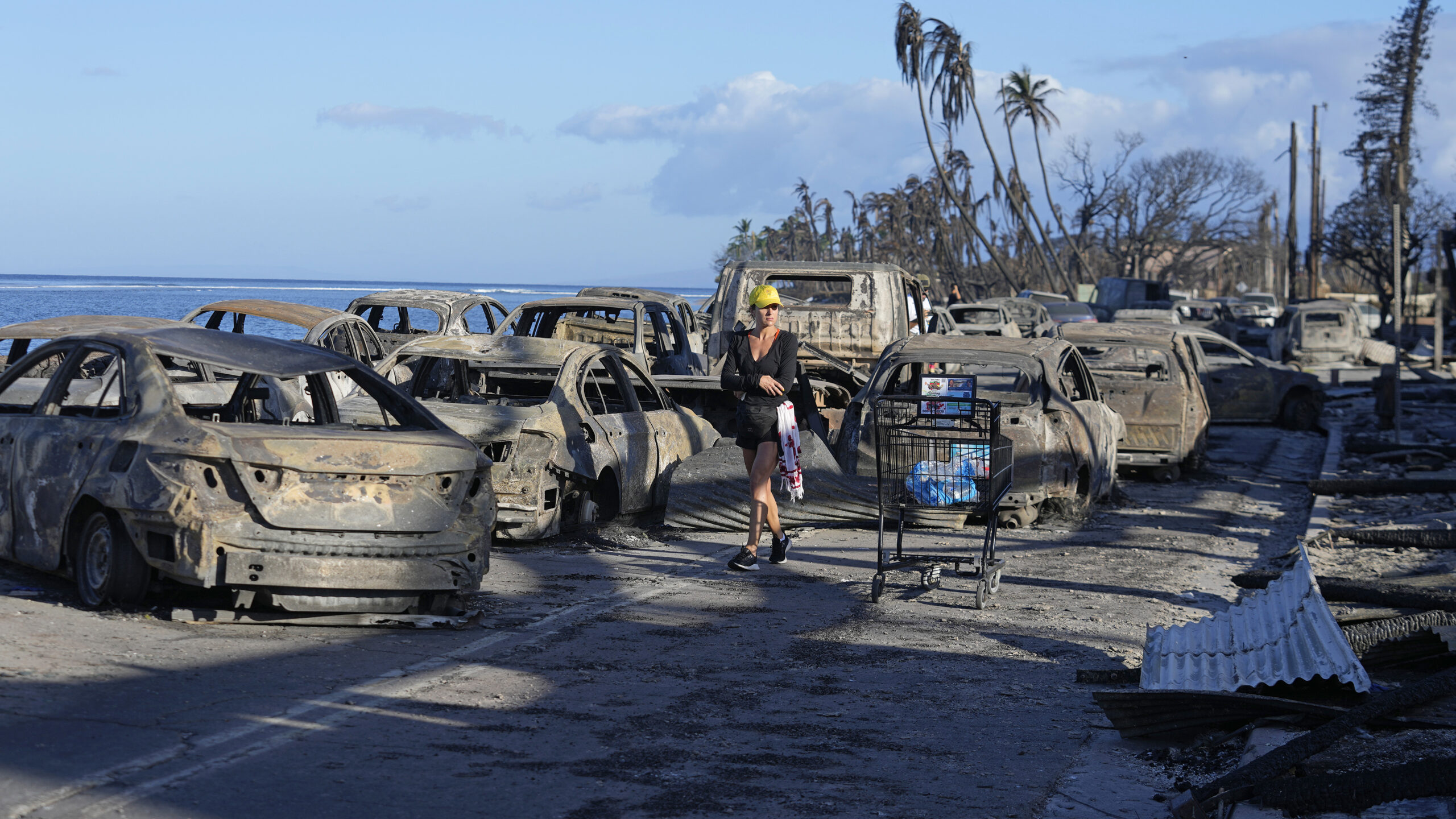 Ausgebrannte Autos, verbrannte Bäume, zerstörte Häuser: Die Flammen auf Maui hinterlassen eine Spur der Verwüstung.