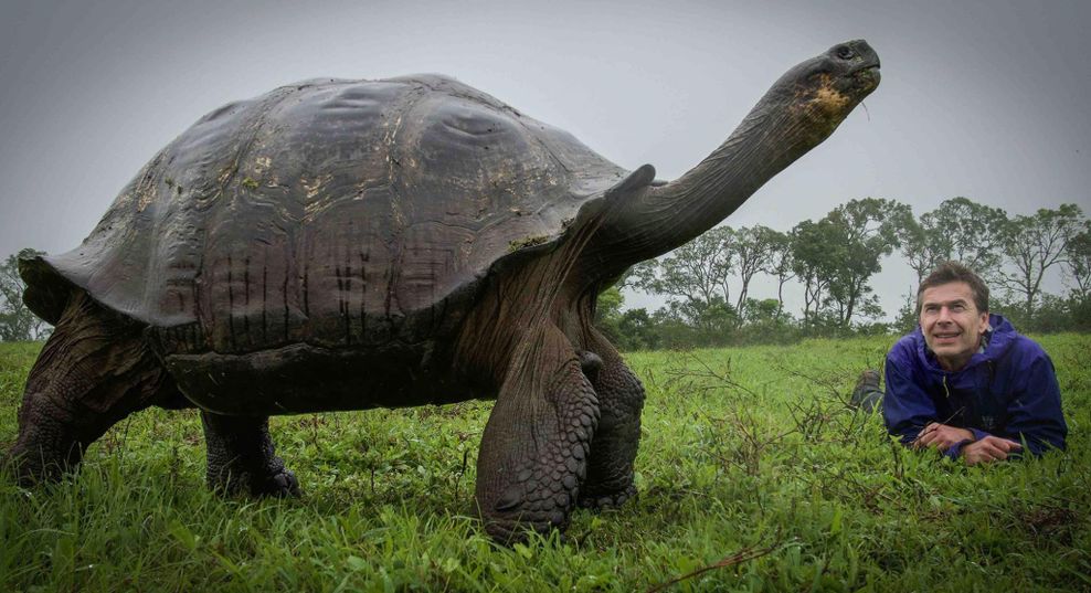 Steffens liegt auf dem Boden, vor ihm die riesige Schildkröte