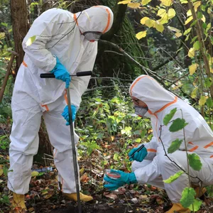 In den Boberger Niederungen wurden 2018 hohe Dioxin-Werte festgestellt. Jetzt haben die Arbeiten begonnen, um den betroffenen Boden auszutauschen. (Archivbild)