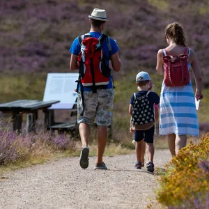 Bei Touristen ist die Lüneburger Heide sehr beliebt.(Symbolbild)