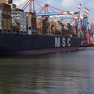 Ein Containerschiff der Reederei MSC liegt im Hamburger Hafen: Das Unternehmen übernimmt fast die Hälfte der Anteile der HHLA.