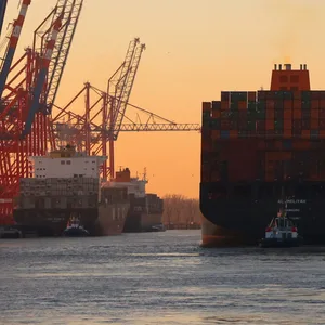 Containerschiffe im Hamburger Hafen: Um den geplanten Teilverkauf der HHLA an MSC ist ein Streit entbrannt.