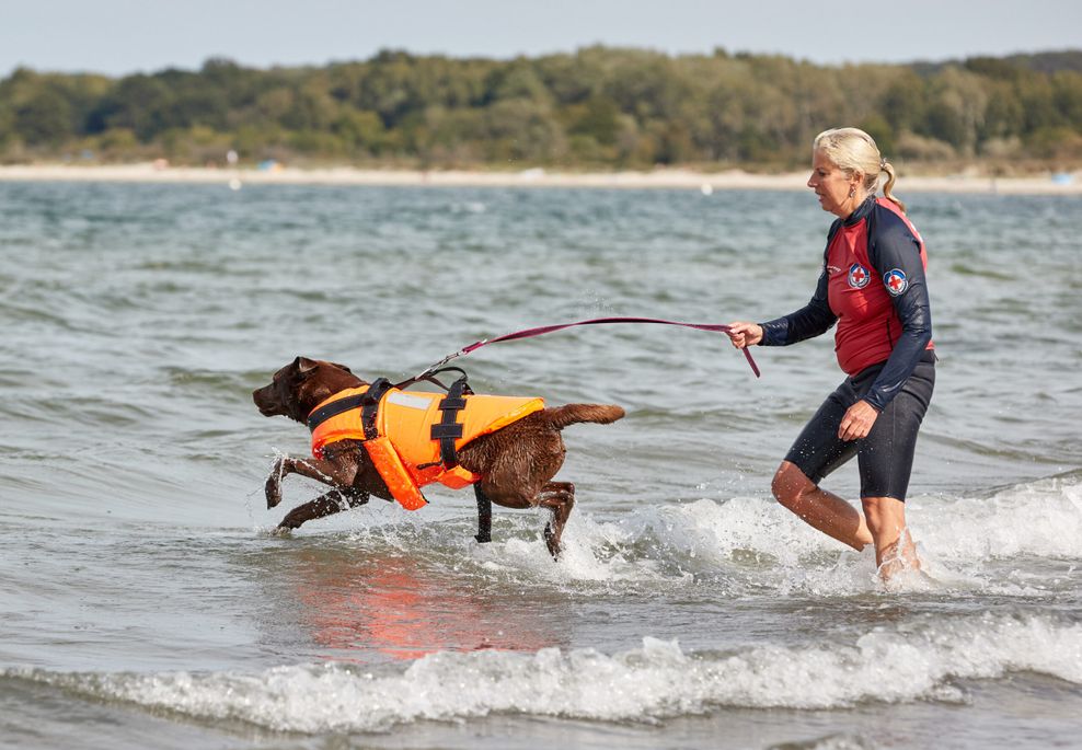 Keine Angst vor dem Nass: Hündin Nala muss in Not-Situationen blitzschnell ins Wasser.