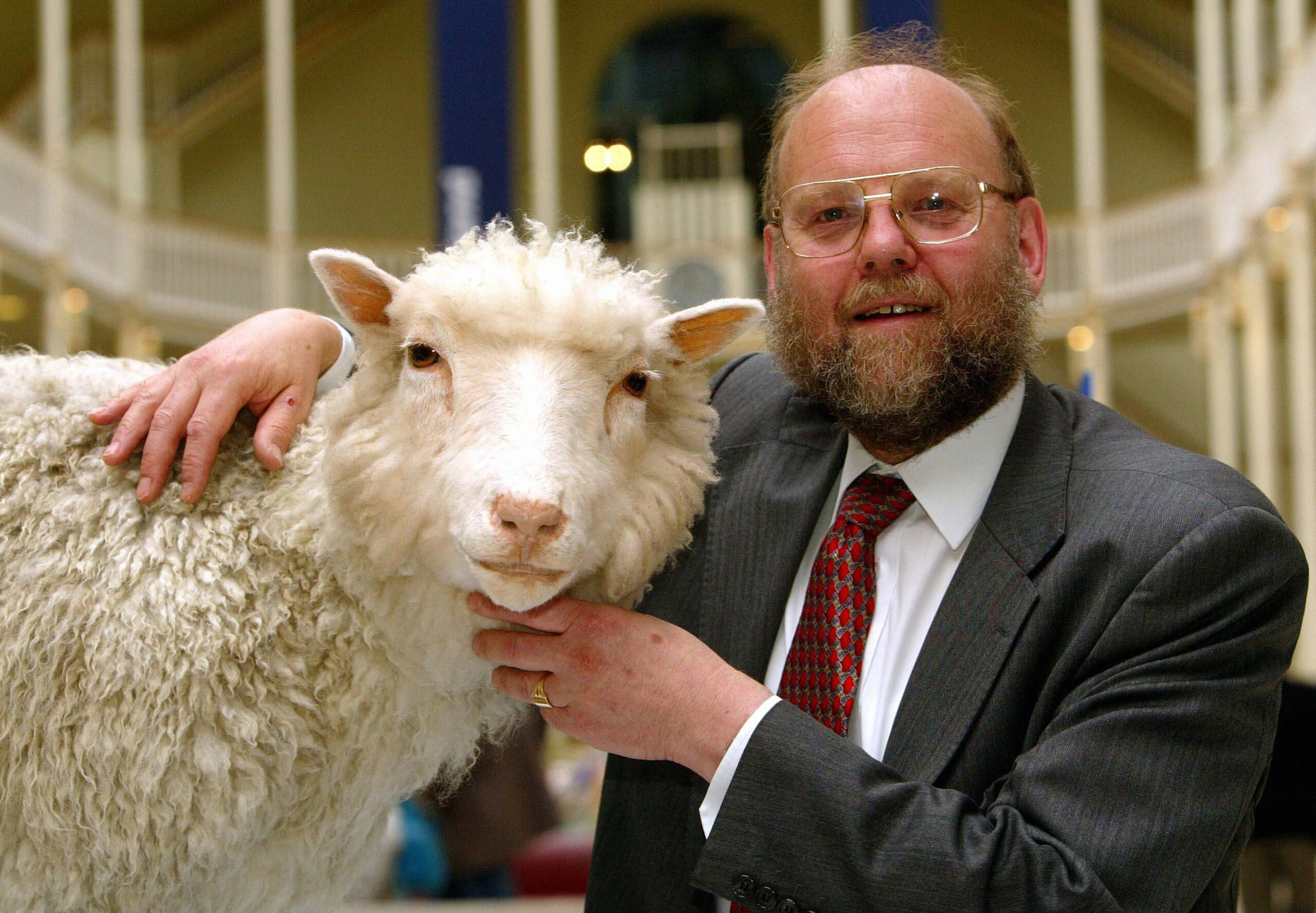 Genforscher Ian Wilmut mit dem ausgestopften Schaf Dolly