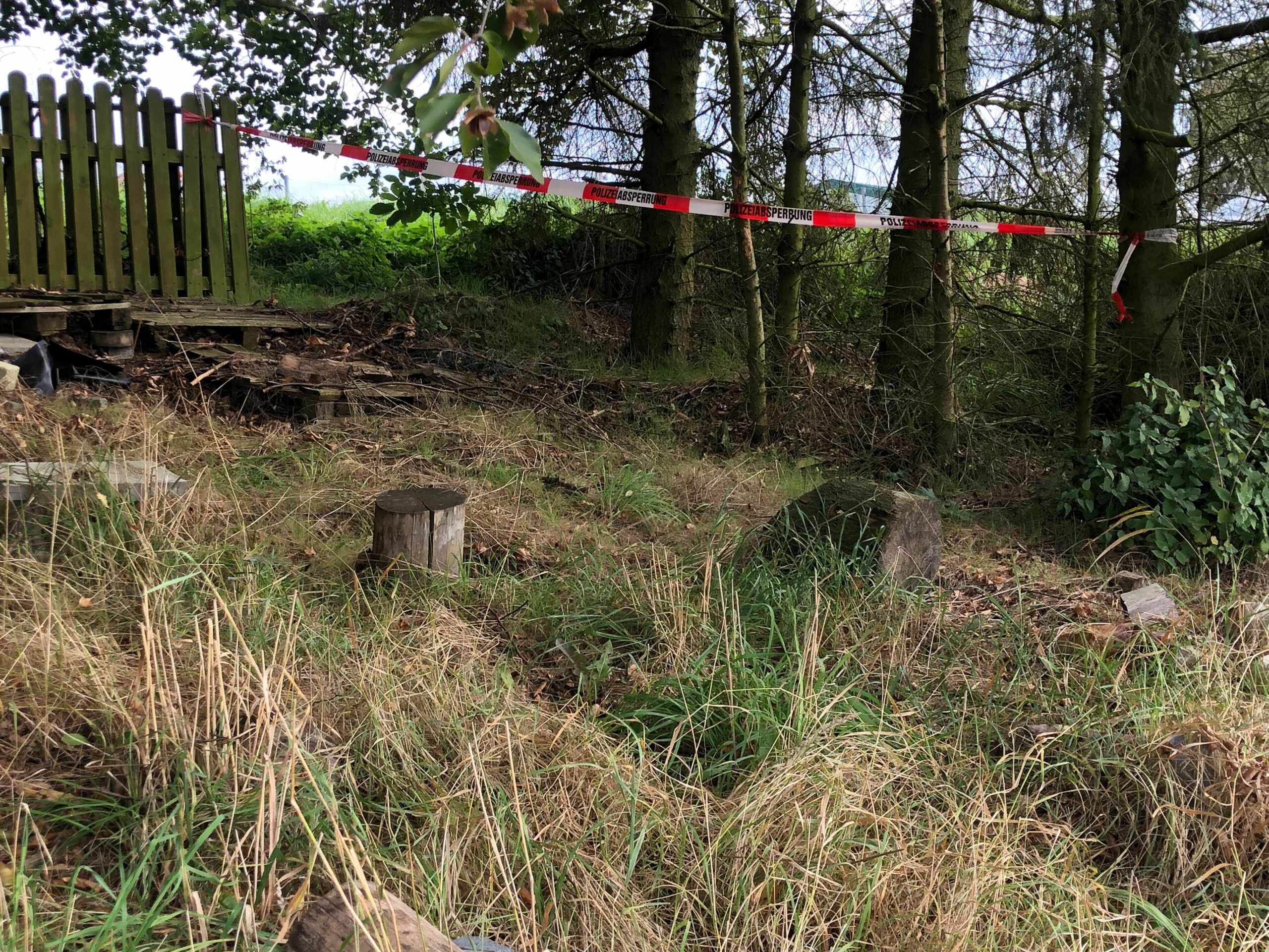 Der Leichnam der 14-Jährigen wurde in diesem Waldstück gefunden.