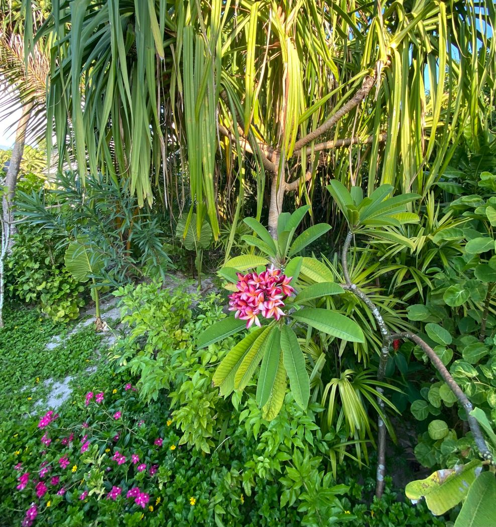 Der Maai Spa gleicht einer blühenden tropischen Oase.
