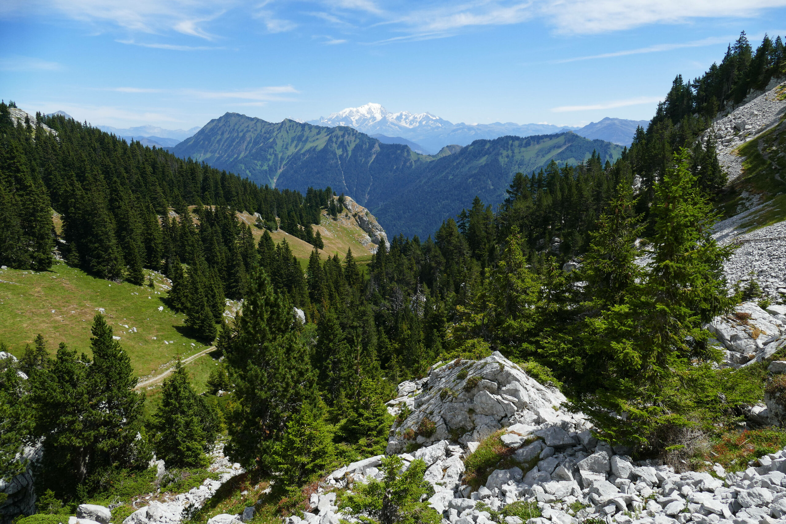 La Sambuy liegt im Herzen der Bauges-Alpen, die sich über die französischen Départements Savoie und Haute-Savoie erstrecken. (Symbolbild)