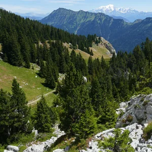La Sambuy liegt im Herzen der Bauges-Alpen, die sich über die französischen Départements Savoie und Haute-Savoie erstrecken. (Symbolbild)
