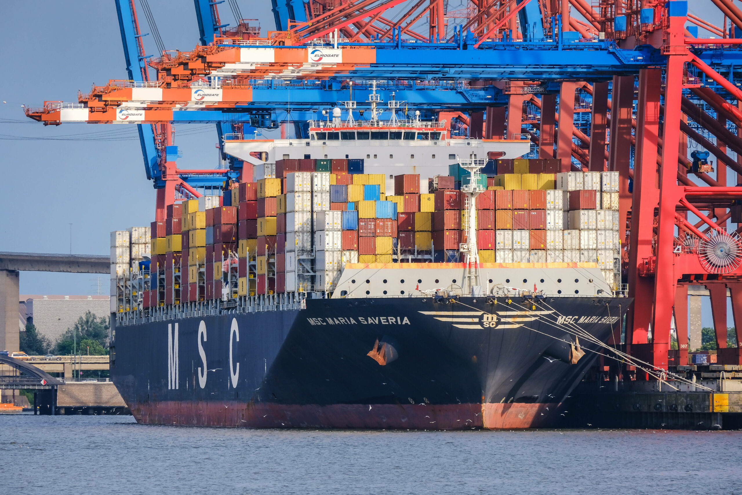 Ein MSC-Frachter liegt im Hamburger Hafen. Die Reederei will einen Teil der HHLA übernehmen.