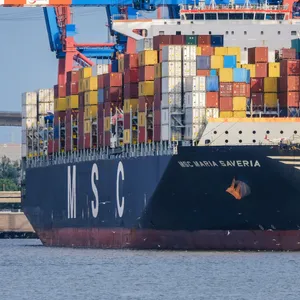 Ein MSC-Frachter liegt im Hamburger Hafen. Die Reederei will einen Teil der HHLA übernehmen.