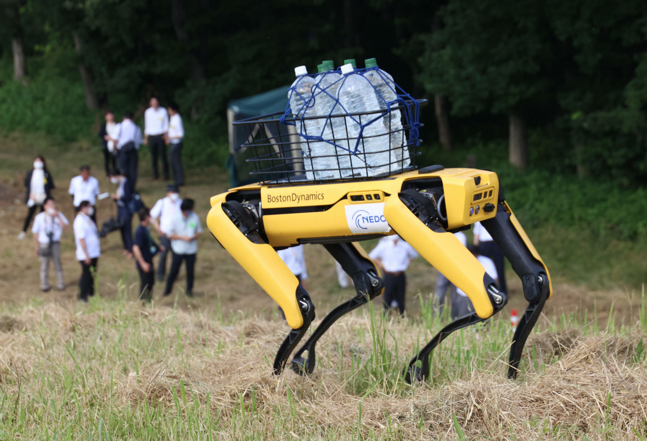 Boston Dynamics Roboter-Hund Spot trägt Wasserflaschen bei einer Demonstration zum autonomen Laufen an einem künstlichen Steilhang am Forestry and Forest Products Research Institute FFPRI in Tsukuba in Japan.