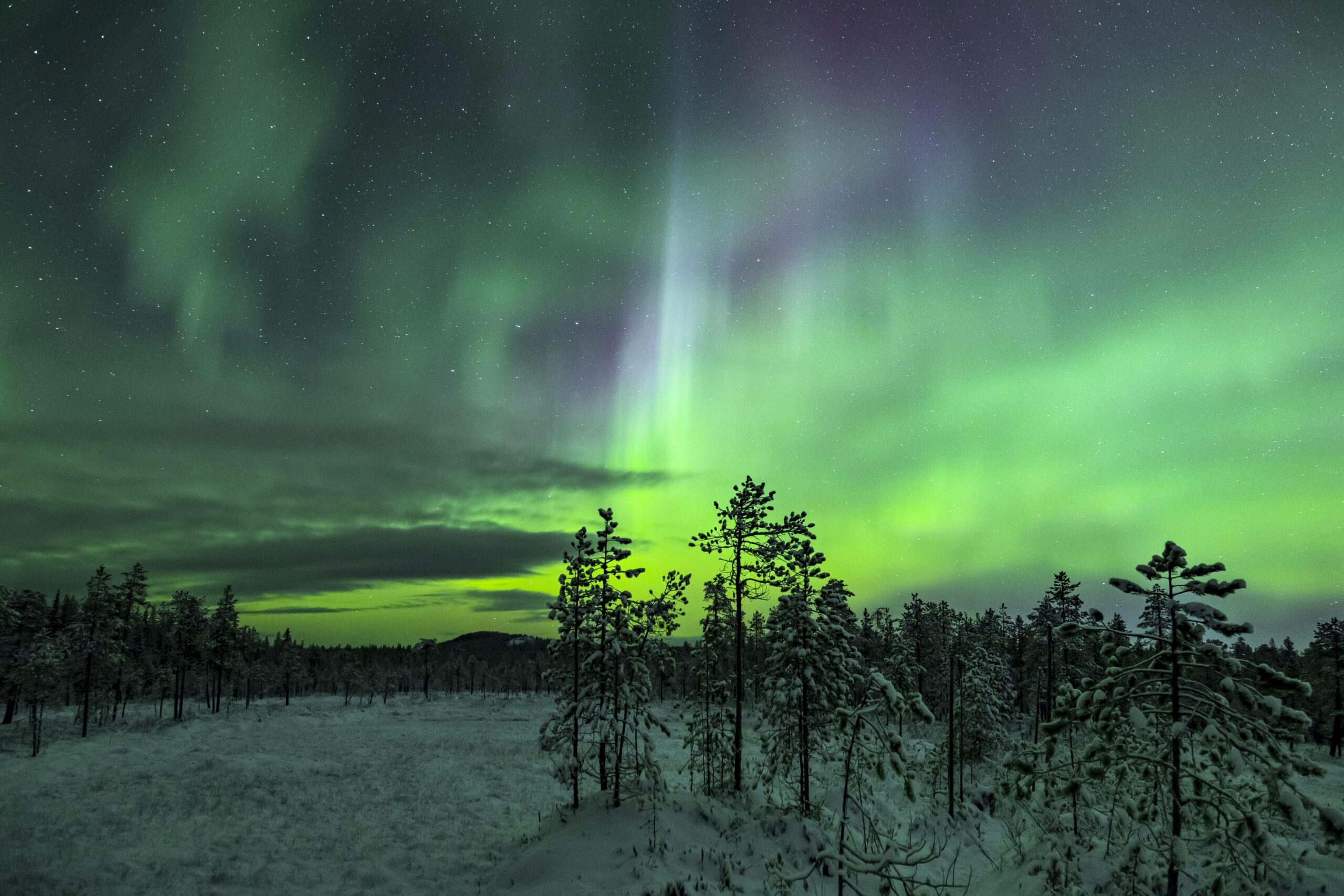 Polarlichter im Winter über Lappland in Schweden (Symbolbild)