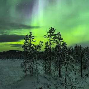 Polarlichter im Winter über Lappland in Schweden (Symbolbild)