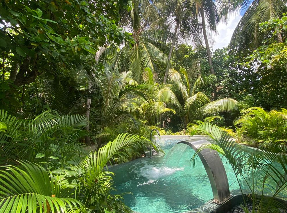 Im Dschungel-Pool des Lady Spa auf JOALI BEING entspanne ich in vollkommener Einsamkeit und Ruhe.