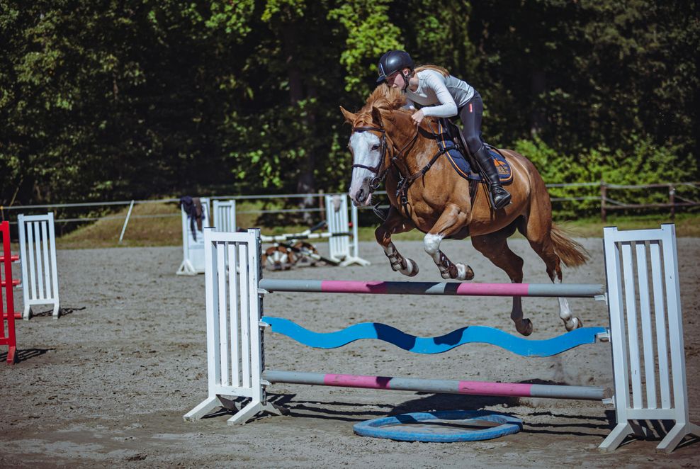 June Karlinder beim Training, ihr Pferd springt gerade über ein Hindernis