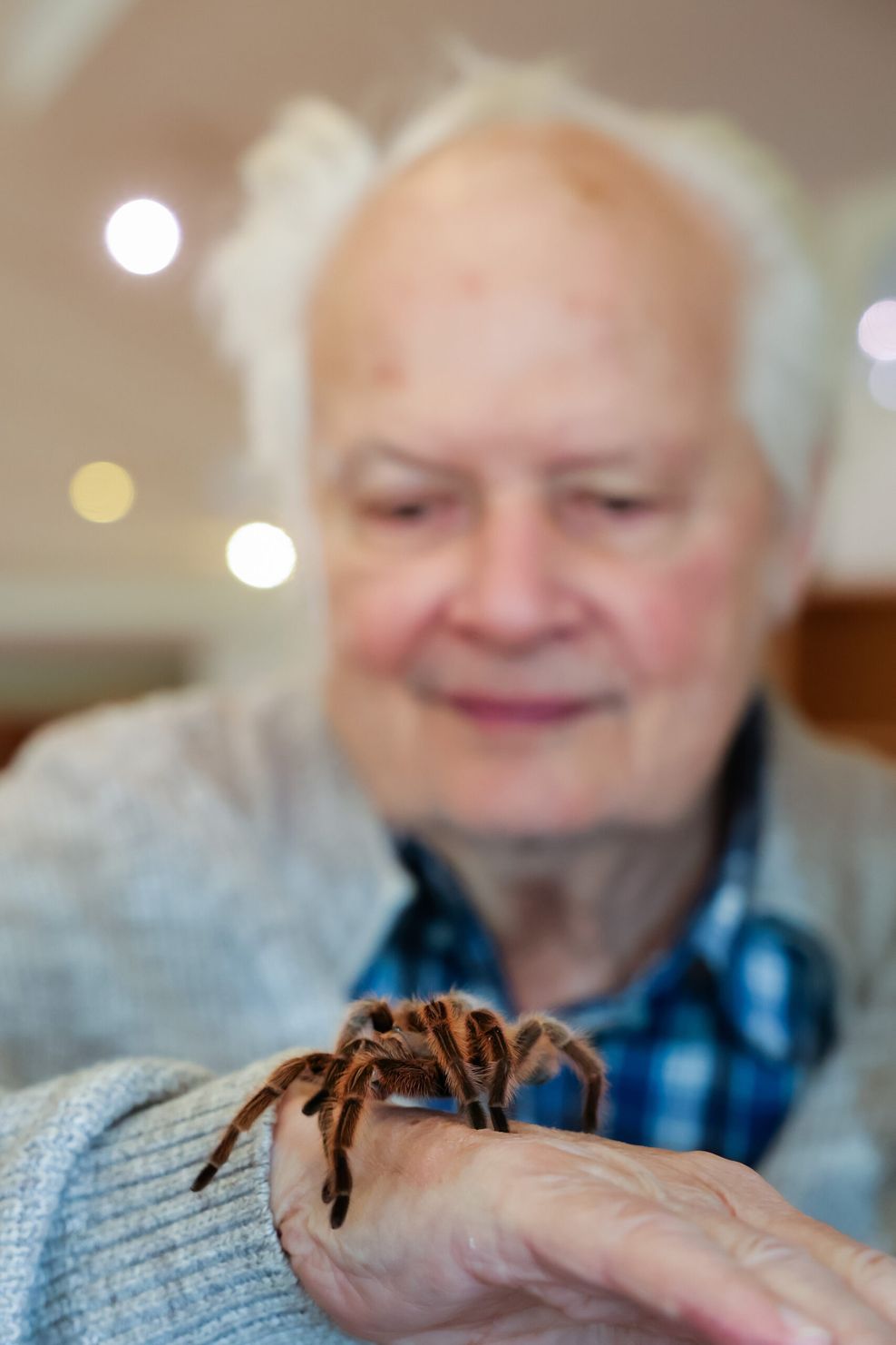Dieter Berg (81) hält im Senioren- und Therapiezentrum Barsbüttel die Vogelspinne Thekla auf der Hand. 