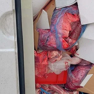 Transporter mit Innereien auf Autobahn bei Hamburg verunglückt