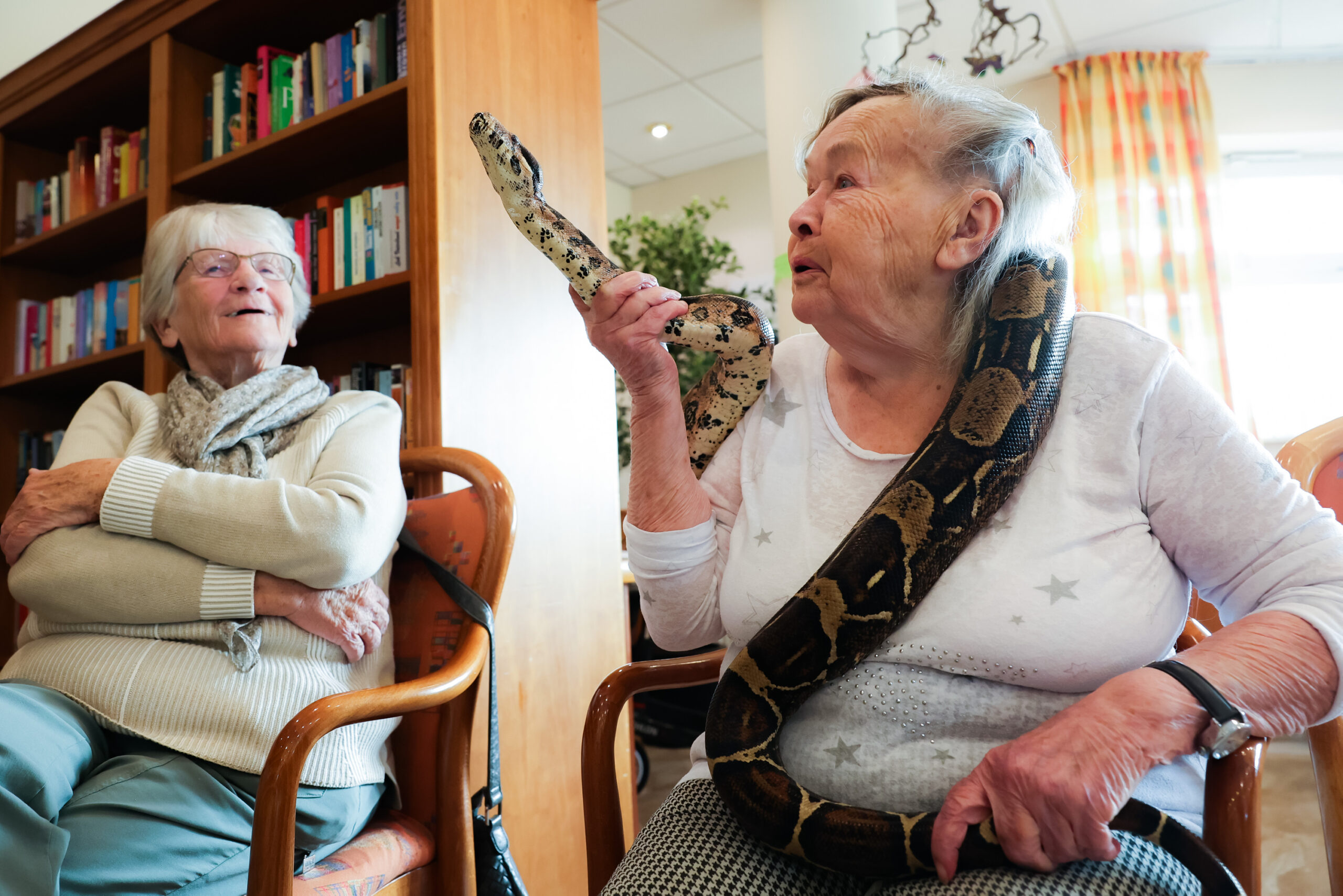 Ältere Dame hat Schlange um den Hals gewickelt.