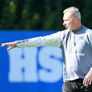 Trainer Tim Walter will, dass die Qualität beim HSV auch arbeitet.