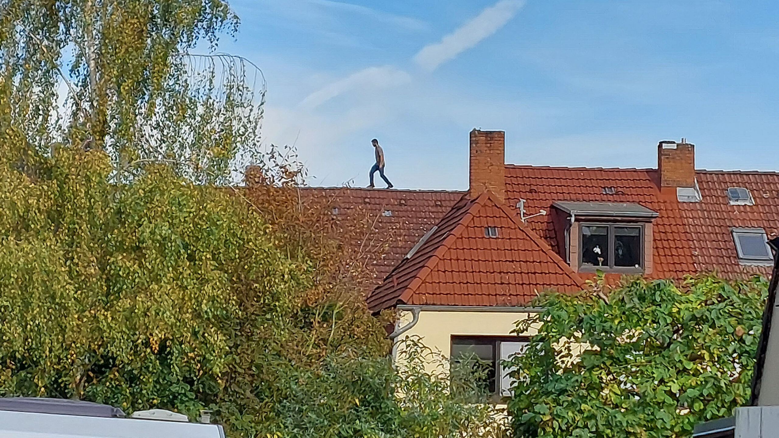 In Hamburg-Wilstorf ist ein Mann auf der Flucht vor der Polizei auf ein Dach geklettert.