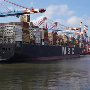 MSC HHLA Hafen