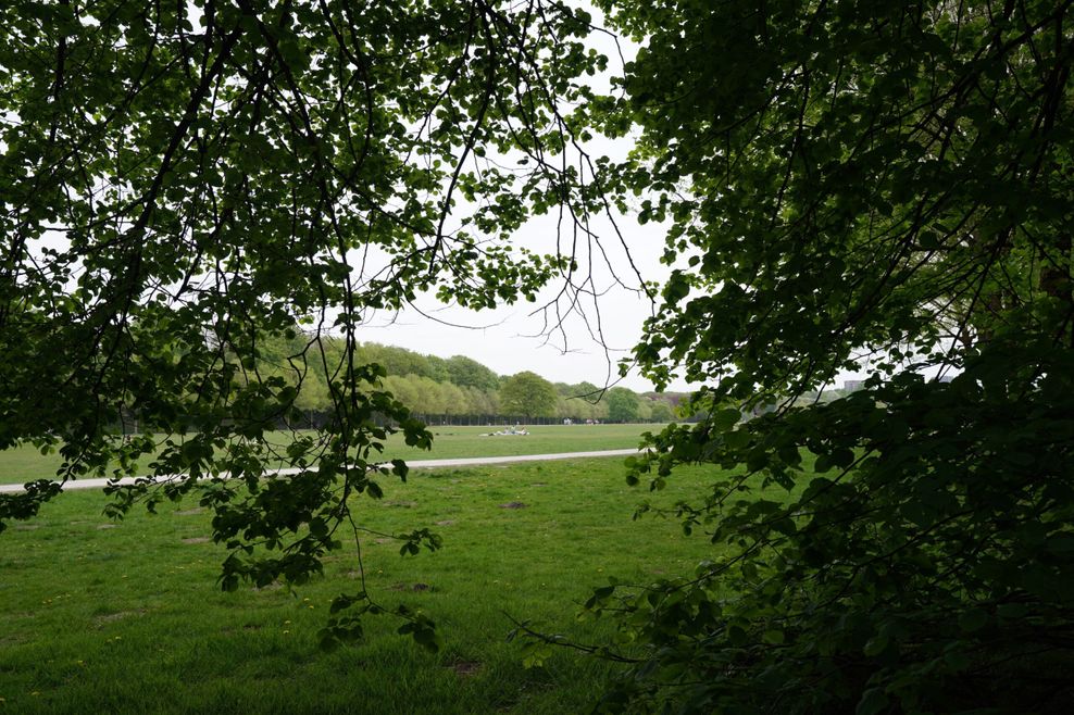 Festwiese im Stadtpark