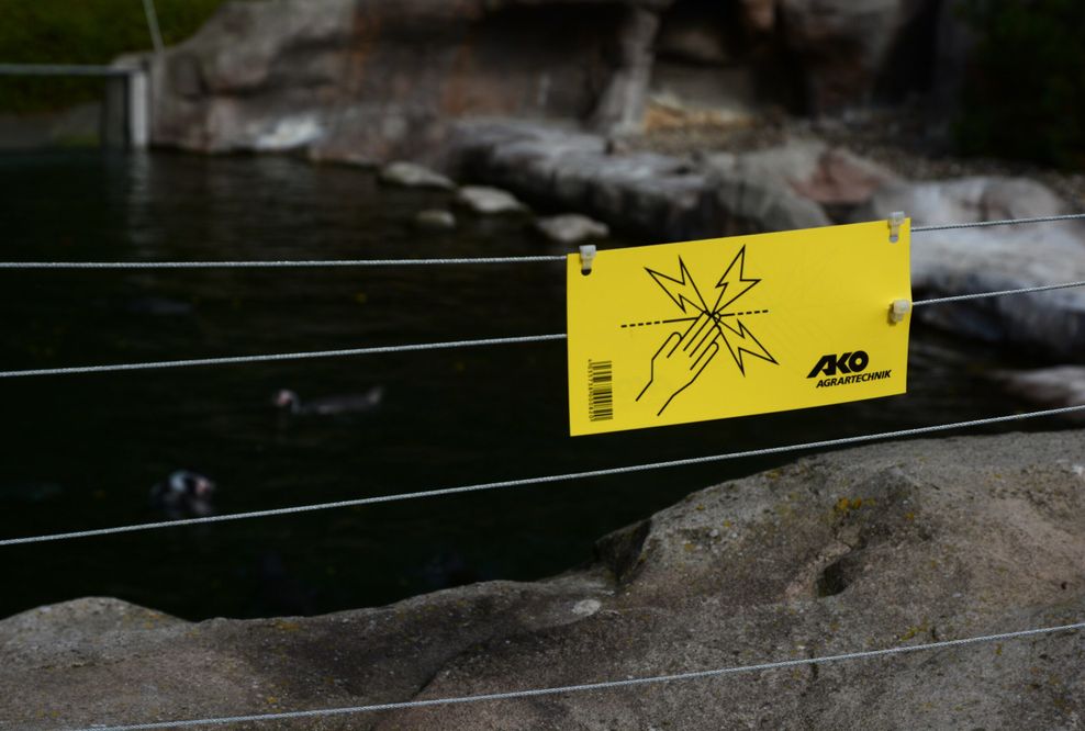 Dieser Zaun soll jetzt die Pinguine im Rostocker Zoo vor weiteren Angriffen schützen.
